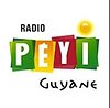 Logo Radio Peyi.PNG