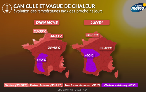 Vignette de notre dernier article