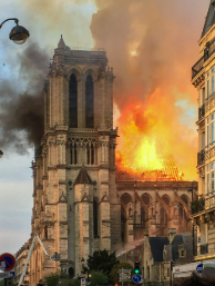 Vignette de notre dernier article